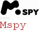 Mspy Record
